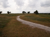 Enlarge photo 45