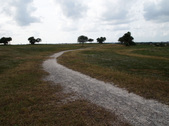Enlarge photo 47