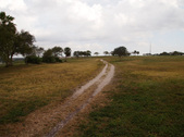 Enlarge photo 48