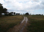 Enlarge photo 49