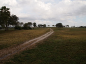 Enlarge photo 50