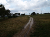 Enlarge photo 51
