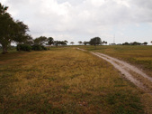 Enlarge photo 53