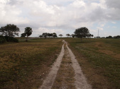 Enlarge photo 56