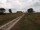 Enlarge photo 57