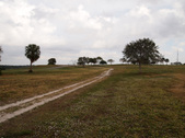 Enlarge photo 58
