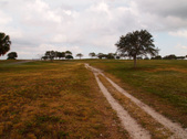 Enlarge photo 59