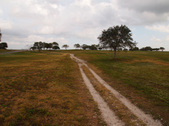 Enlarge photo 60