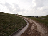 Enlarge photo 67