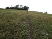 Enlarge photo 71