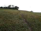 Enlarge photo 72
