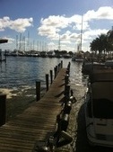 Enlarge photo 56
