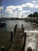 Enlarge photo 57