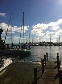 Enlarge photo 58