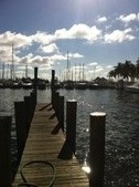 Enlarge photo 59