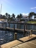 Enlarge photo 62