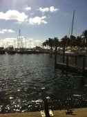 Enlarge photo 63