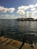 Enlarge photo 64