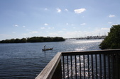 Enlarge photo 33