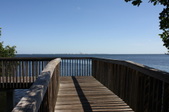 Enlarge photo 35