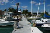 Enlarge photo 98
