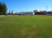Enlarge photo 51