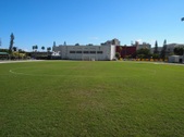 Enlarge photo 61