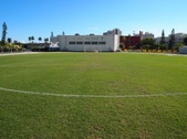 Enlarge photo 62
