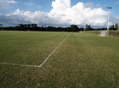Enlarge photo 48