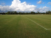 Enlarge photo 53