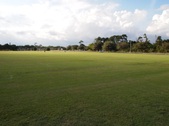Enlarge photo 84