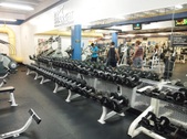 Enlarge photo 142