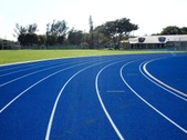 Enlarge photo 35