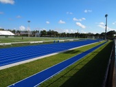 Enlarge photo 62