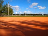 Enlarge photo 82