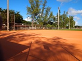 Enlarge photo 84