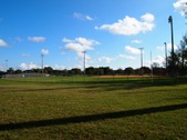 Enlarge photo 91