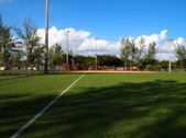 Enlarge photo 93