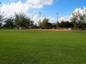 Enlarge photo 95