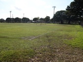 Enlarge photo 112