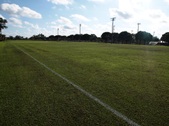 Enlarge photo 115