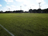 Enlarge photo 120