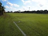 Enlarge photo 124