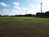 Enlarge photo 134