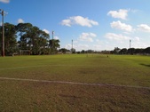Enlarge photo 135