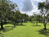 Enlarge photo 36