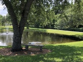 Enlarge photo 65