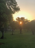 Enlarge photo 61