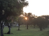 Enlarge photo 62