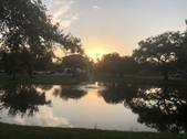 Enlarge photo 64